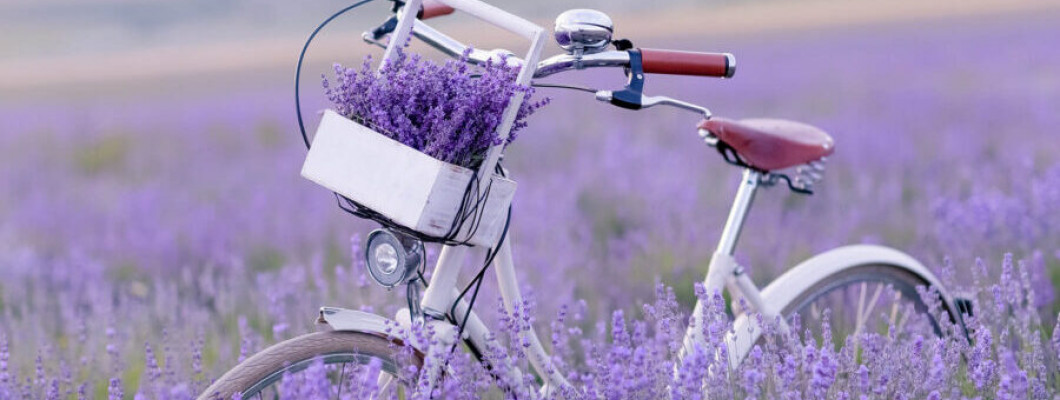 Ape florale bio, 100% naturale si fără conservanți Ape florale bio, 100% naturale si fără conservanți